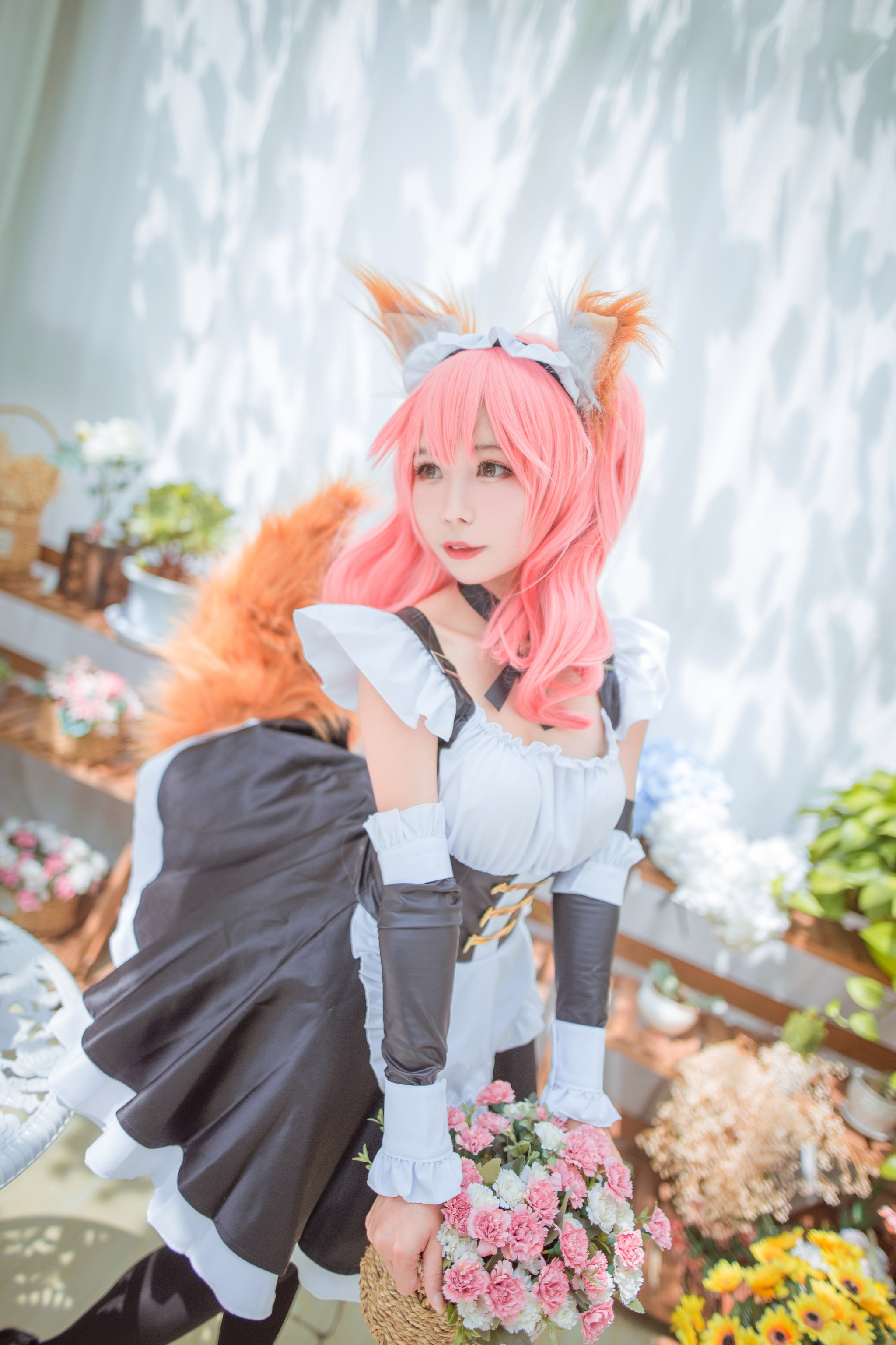 北之北 - NO.002 FGO-玉藻前女仆 [9P]-XikXak